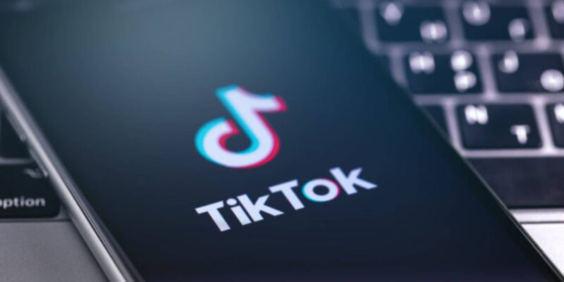 Синяя галочка в TikTok: как работает проверка