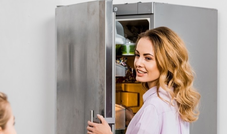 Бесшумный холодильник - какой выбрать: Параметры которые стоит проверить