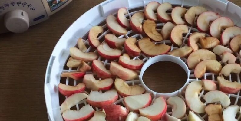 Как сушить яблоки в сушилке?
