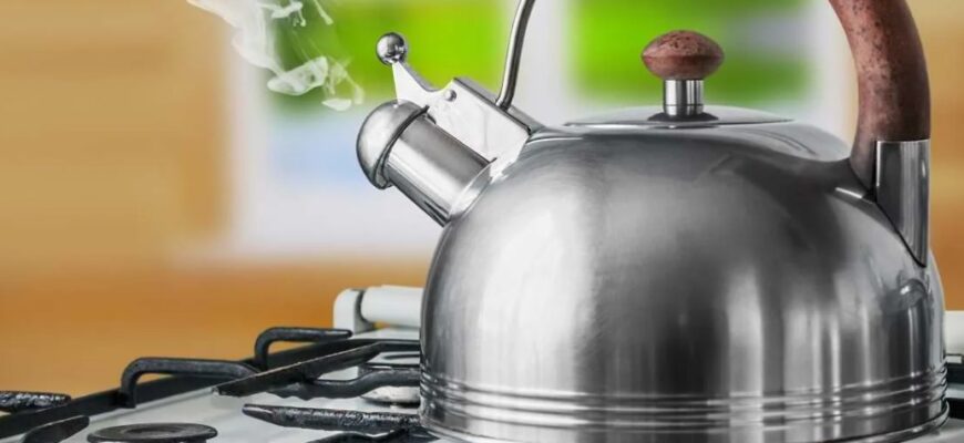 Какой газовый чайник выбрать: На какие параметры обратить внимание?