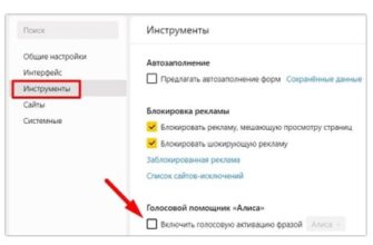 Как отключить Алису в Яндекс Браузере - пошаговая инструкция
