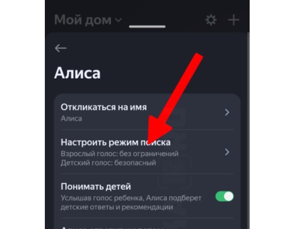 Как научить Яндекс Станцию Материться — Обучаем Алису ругаться матом